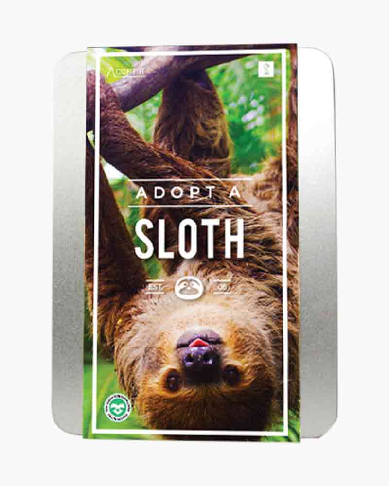 004306_1000526357_NoColor