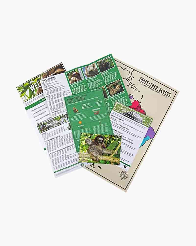 004306_1000526357_NoColor_ALT1