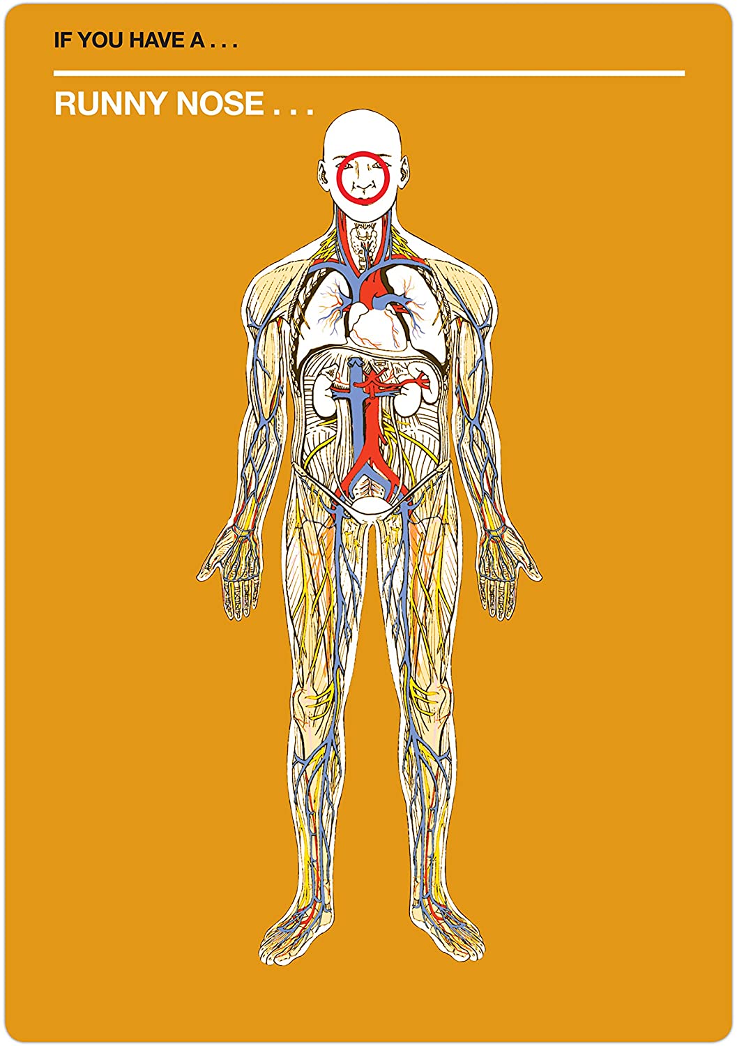 810JIVaV0eL._AC_SL1500_