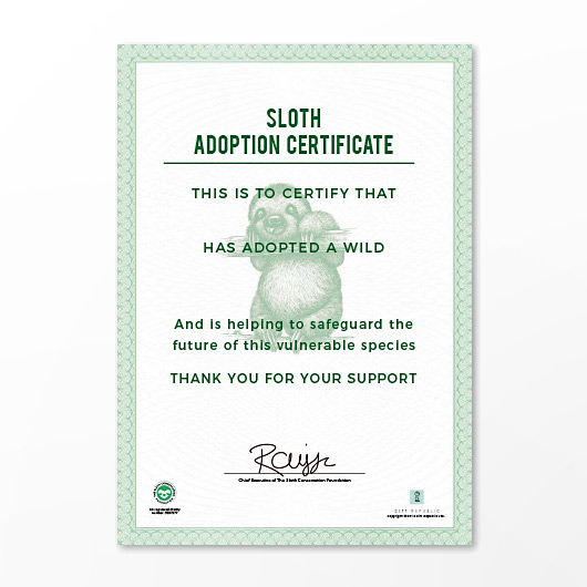 adopt-a-sloth-rollover3